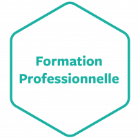 Formation  professionnelle